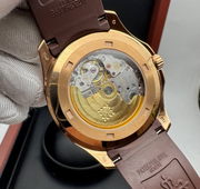 PATEK PHILIPPE WITH SWIZZ MACHINE